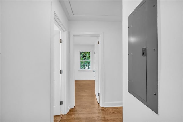 corridor featuring electric panel and light hardwood / wood-style floors