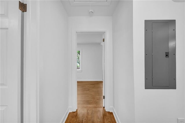 corridor featuring wood-type flooring and electric panel