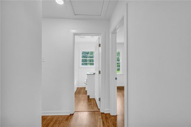 corridor with hardwood / wood-style floors