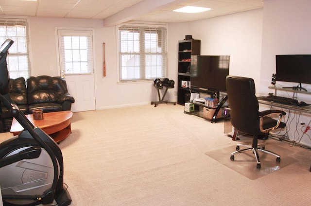 home office featuring carpet floors, a drop ceiling, and baseboards