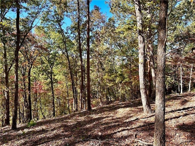 Listing photo 3 for 1405 Foxhound Trl NE, Ranger GA 30734