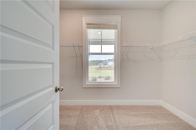 spacious closet featuring light colored carpet