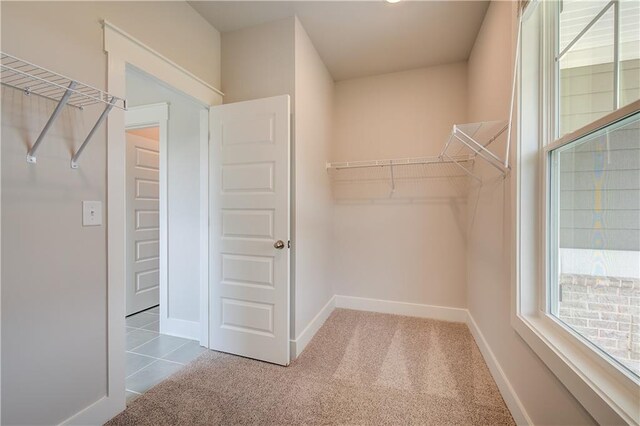 spacious closet with carpet flooring