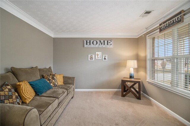 living room with a textured ceiling, light colored carpet, and crown molding