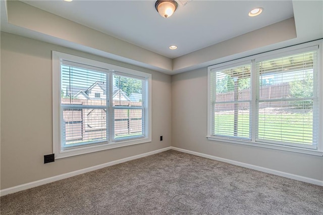 unfurnished room featuring plenty of natural light and carpet floors