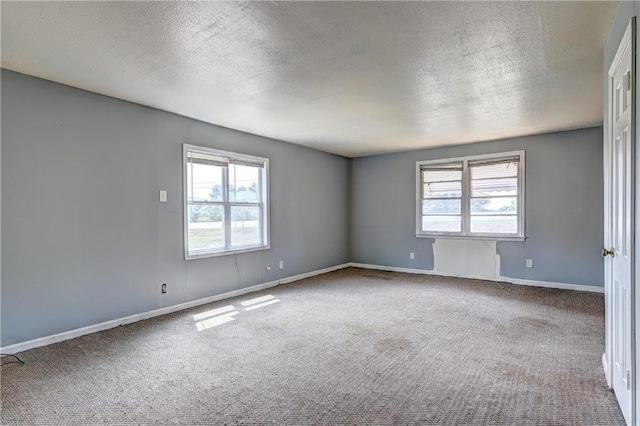 6191 Cumming Hwy, Canton, GA 30115 - unfurnished room featuring healthy amount of natural light, carpet floors, a textured ceiling, and baseboards