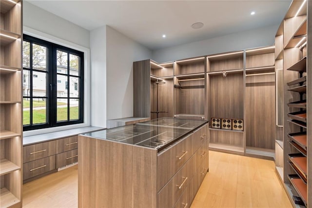 walk in closet with light wood finished floors