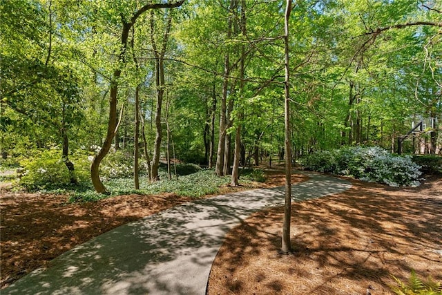 7165 Cordery Rd, Cumming, GA 30040 - surrounding community with a wooded view