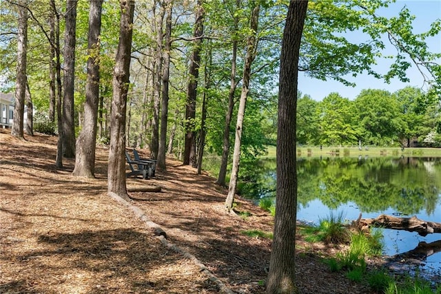 7165 Cordery Rd, Cumming, GA 30040 - water view