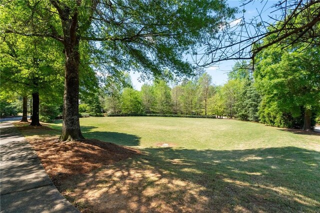 7165 Cordery Rd, Cumming, GA 30040 - view of green lawn