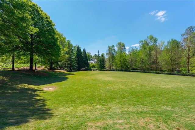 7165 Cordery Rd, Cumming, GA 30040 - view of green lawn