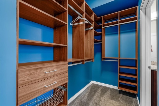 spacious closet featuring carpet