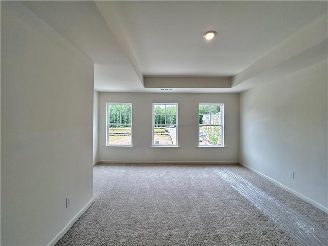 1956 Asher Ln Unit 51, Conyers, GA 30013 - unfurnished room featuring healthy amount of natural light, carpet, baseboards, and a raised ceiling