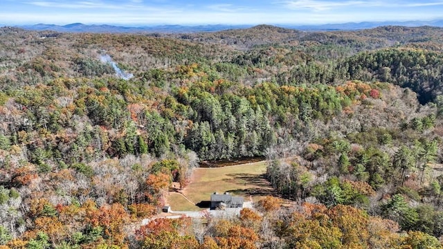 aerial view with a mountain view