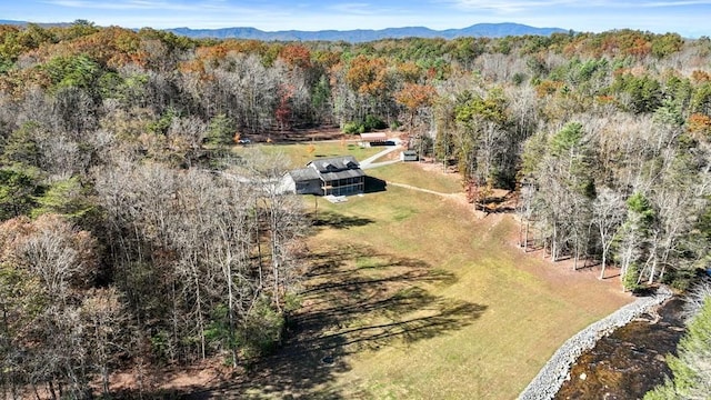 drone / aerial view with a mountain view