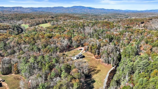 drone / aerial view featuring a mountain view