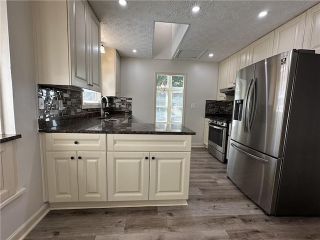 kitchen featuring stainless steel appliances, a sink, a peninsula, and wood finished floors