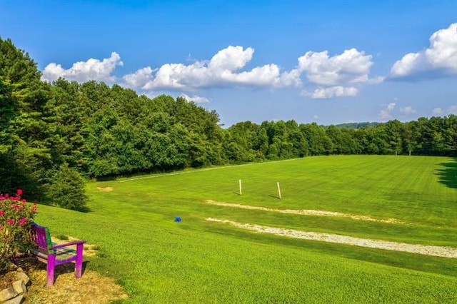 surrounding community featuring a yard