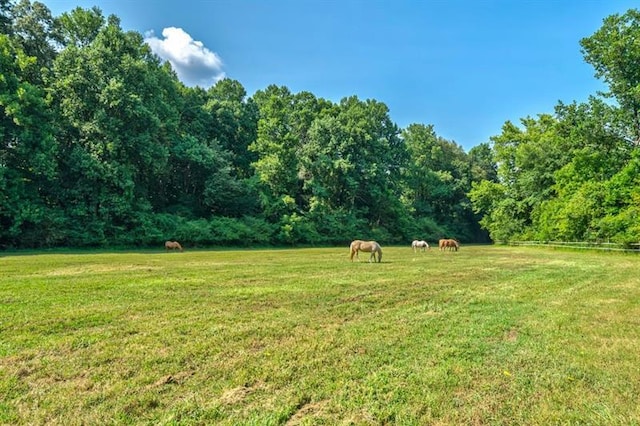 view of yard with a rural view