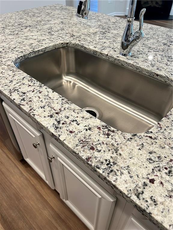 details with hardwood / wood-style floors, light stone counters, white cabinetry, and sink