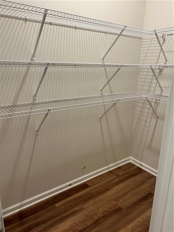 spacious closet with hardwood / wood-style floors