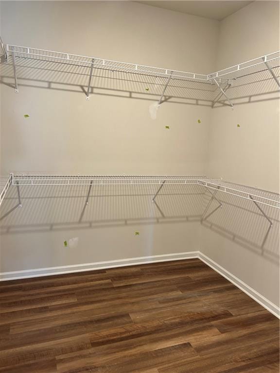 walk in closet featuring dark hardwood / wood-style flooring