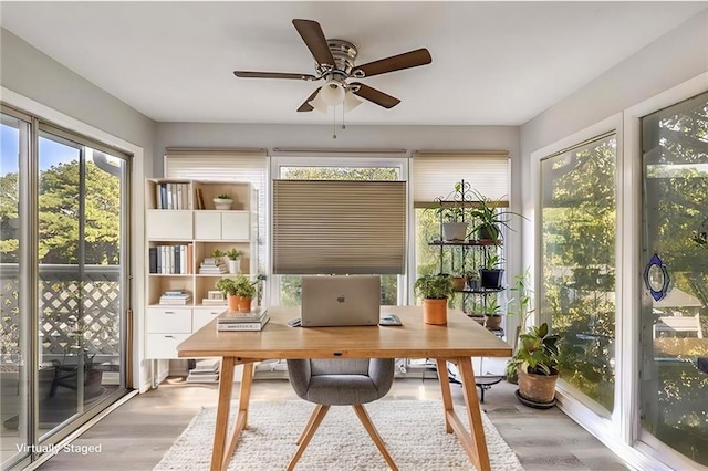 home office with ceiling fan and light hardwood / wood-style floors