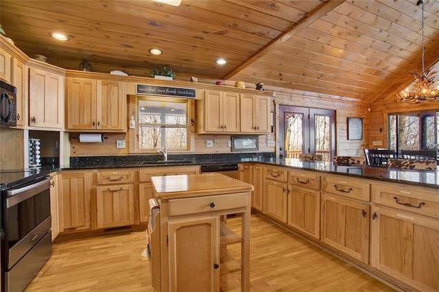 kitchen with a healthy amount of sunlight, appliances with stainless steel finishes, light wood-style floors, and a sink