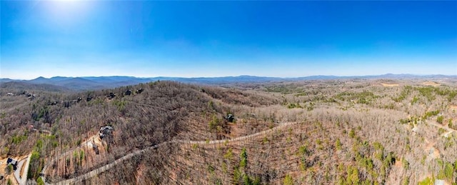 property view of mountains with a wooded view