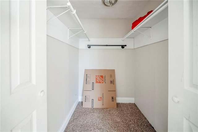 spacious closet featuring carpet floors