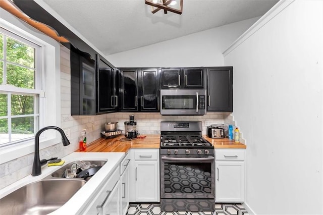 kitchen with stainless steel appliances, a sink, dark cabinets, vaulted ceiling, and healthy amount of natural light