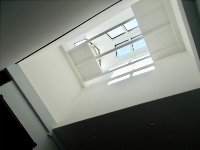 interior details featuring a skylight