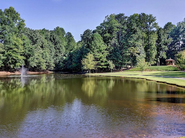 1006 Amberton Ln, Powder Springs, GA 30127 - water view