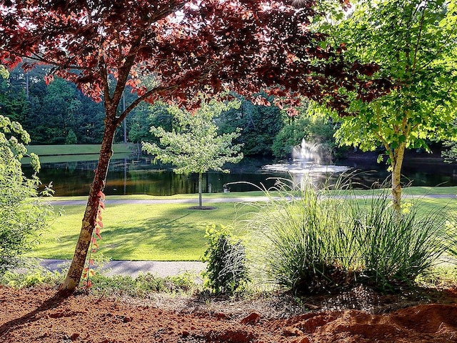 1006 Amberton Ln, Powder Springs, GA 30127 - view of grassy yard with a water view