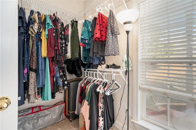 spacious closet featuring carpet flooring