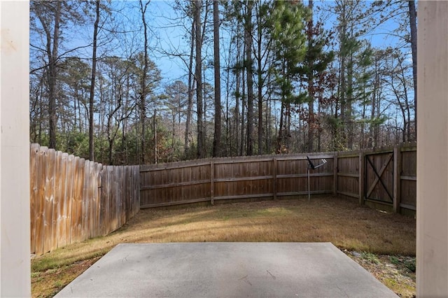 view of yard with a patio and a fenced backyard