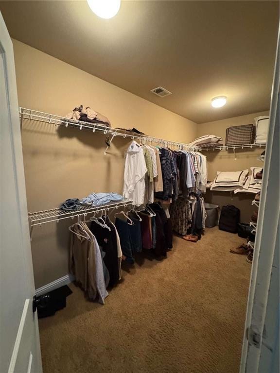 spacious closet featuring carpet floors