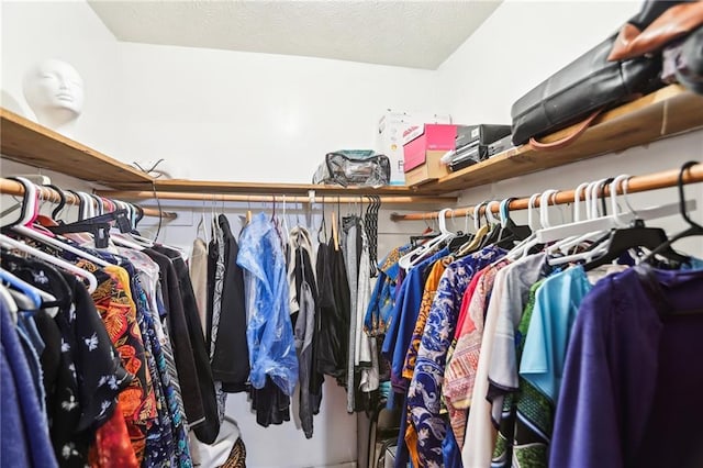 view of spacious closet