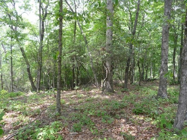 Listing photo 2 for LOT19 Oceola Dr, Ellijay GA 30540