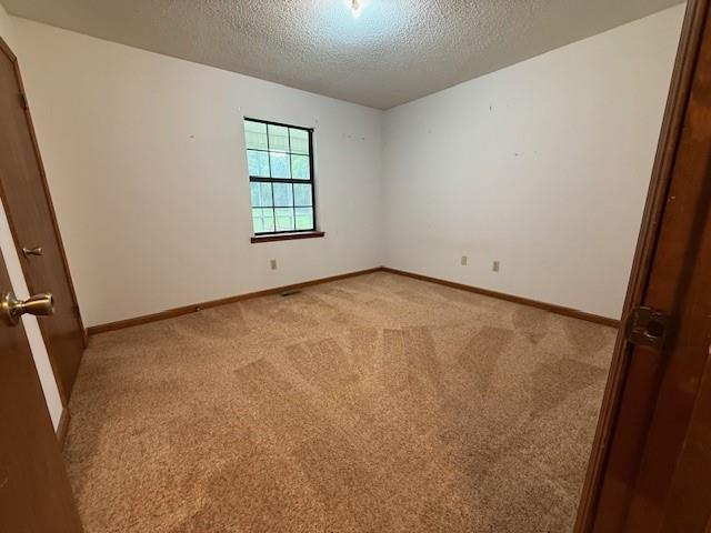 100 Walter Leon Dr, Chatsworth, GA 30705 - empty room featuring a textured ceiling and light carpet