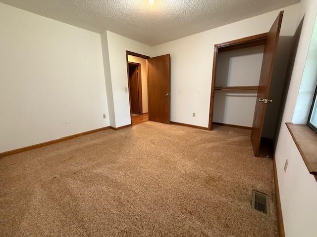 100 Walter Leon Dr, Chatsworth, GA 30705 - unfurnished bedroom featuring carpet, a textured ceiling, and a closet