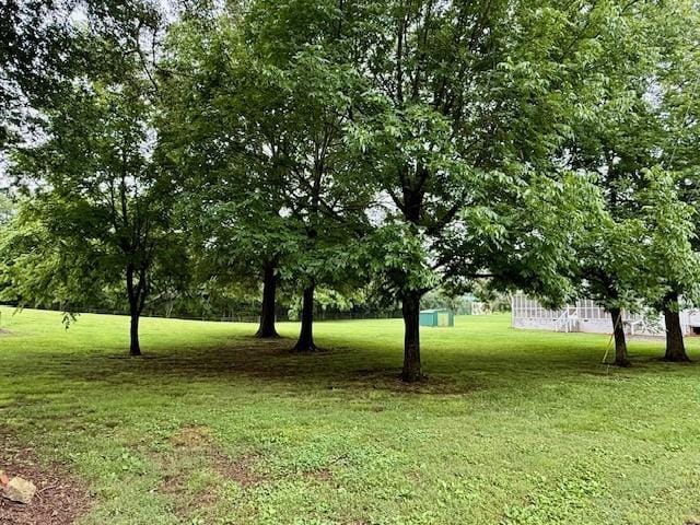100 Walter Leon Dr, Chatsworth, GA 30705 - view of green lawn