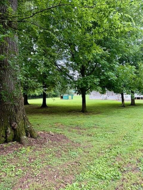 100 Walter Leon Dr, Chatsworth, GA 30705 - view of grassy yard