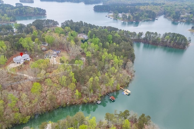 drone / aerial view featuring a water view and a forest view