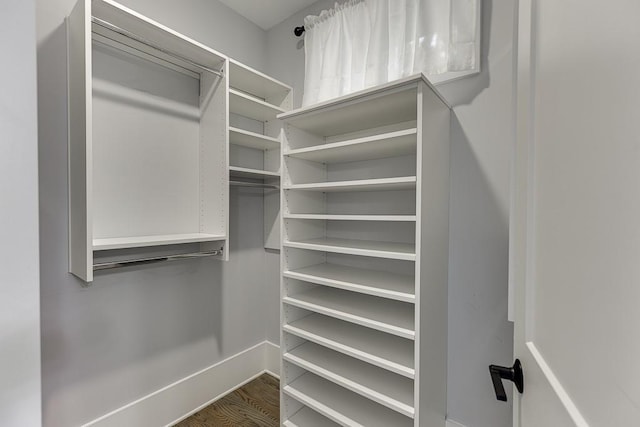 spacious closet featuring wood finished floors