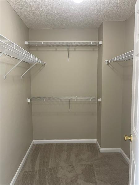 walk in closet featuring dark colored carpet