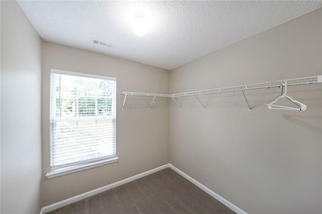 spacious closet with carpet floors