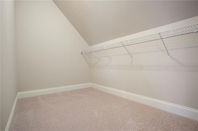 walk in closet with lofted ceiling and carpet