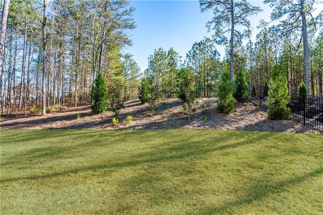 39 Telfair Ct, Acworth, GA 30101 - view of yard