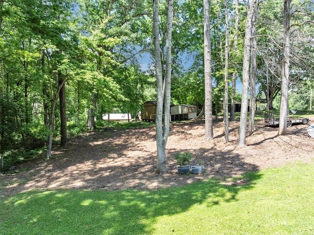 586 Old Bushmill Rd, Bremen, GA 30110 - view of green lawn featuring view of wooded area